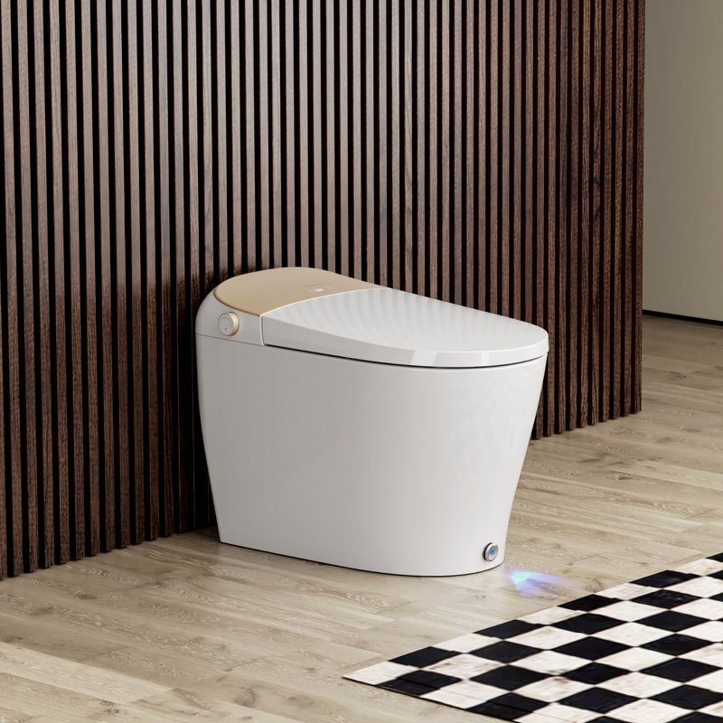Toilette intelligente une pièce Ecoway Lux