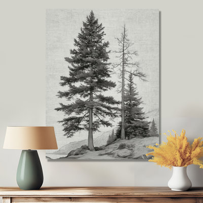 «Vintage Pine Trees On Mountain», impression murale sur toile Nature