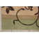 Williston Floral Indoor Rug