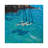 Turquoise Bay Rendezvous by Gordon Hunt - Gallery-Wrapped Canvas Giclée on Canvas-1463357934-1463357938