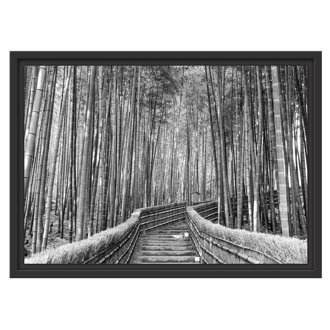 Kyoto Japan Bamboo Forest Gerahmter Kunstdruck