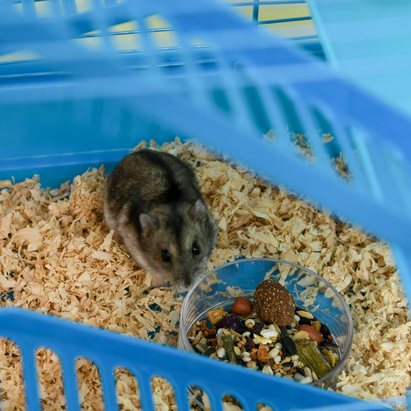 Pattie 5 Tiers Hamster Cage Animal Travel Carrier Habitat with Dishes Blue