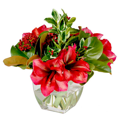 Amaryllis Magnolia Floral Arrangement in Vase