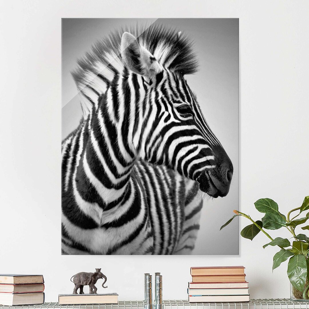 Glasbild Zebra-Baby-Porträt II