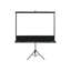 Écran de projection portable Tripod Series, blanc mat, boîtier noir-11888241
