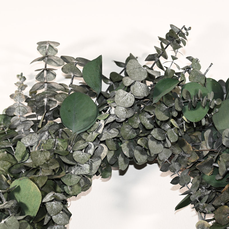 Couronne de porte 24 po Eucalyptus