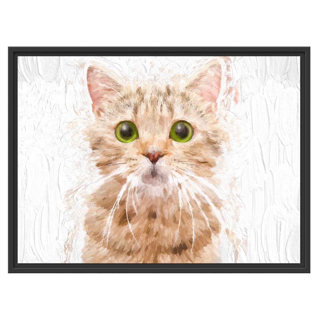 Gerahmtes Wandbild Katze Scottish Straight