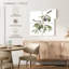 Branche d'olive fraîche Harnek I