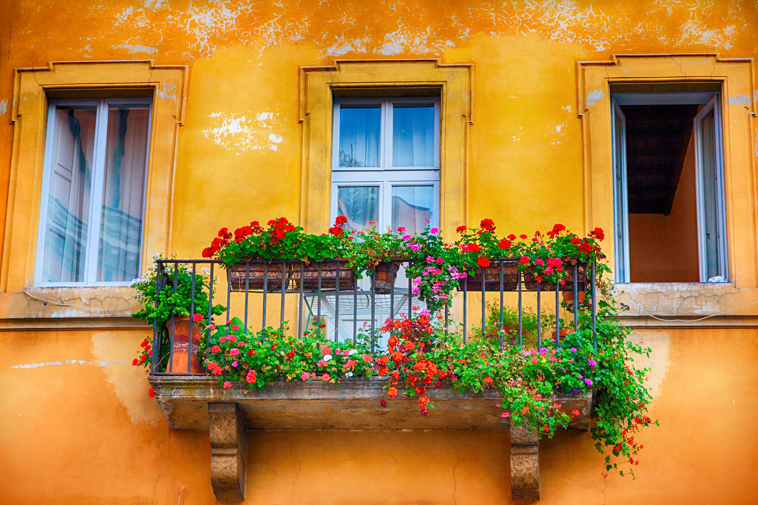Decorative Windows Rome Ebern Designs Window in Rome - Wrapped Canvas Photograph | Wayfair