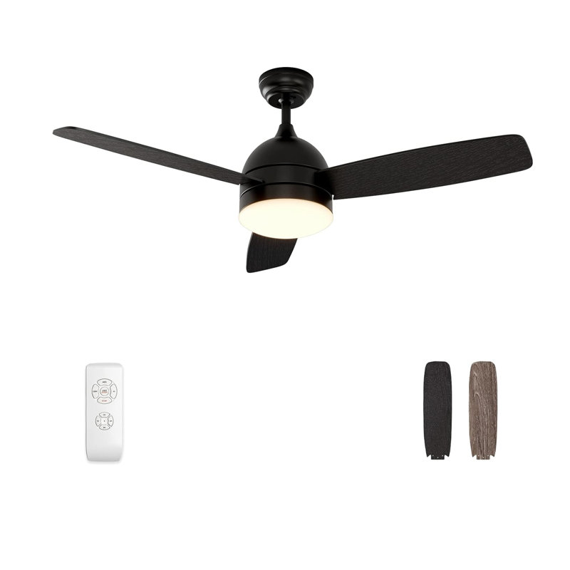 Demy 48'' Ceiling Fan with LED Lights and Remote Control 3-Blades