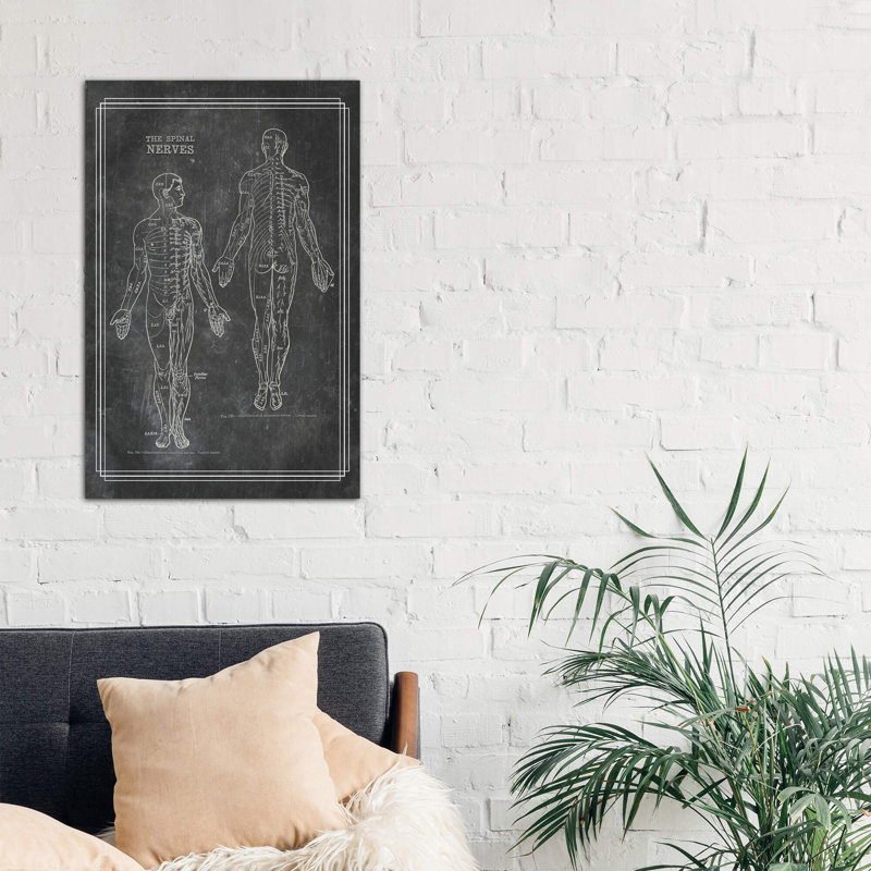 The Spinal Nerves - Wrapped Canvas Print, 66.04 cm H x 45.72 cm W x 1.91 cm D