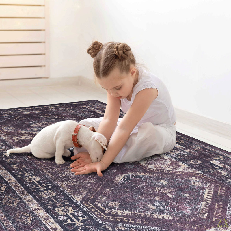 Washable Rug 5X8 Area Rug (5' X 8')Non-Slip, Non-Shedding Low-Pile Rug  For Living Room, Bedroom, Kitchen And High-Traffic Areas