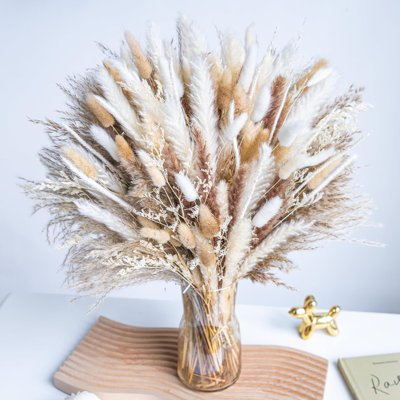 Didadi, 220 pièces, herbe de pampa séchée naturelle, phrases bohème pour mariage, arrangements floraux, décorations de salon (220 pièces)