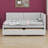 Cathaline Full Size Upholstered Daybed with 2 Storage Drawers Sofa Bed Frame-1496762140