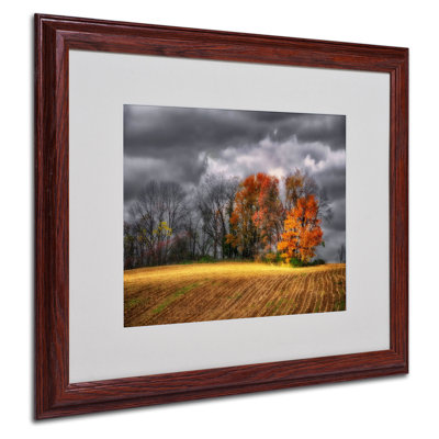 "field" par lois bryan, impression encadrée Halke