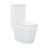 Lamarck Two-Piece Elongated Toilet Dual-Flush 1.1/1.6 Gpf