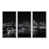 Argent