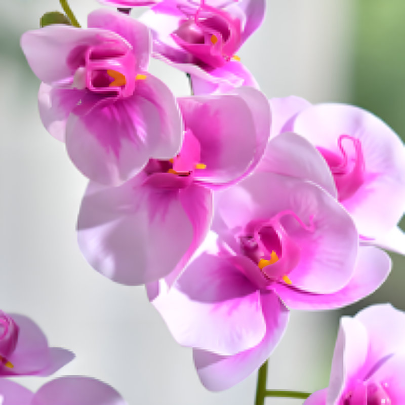 Simulations de décorations florales pour le salon