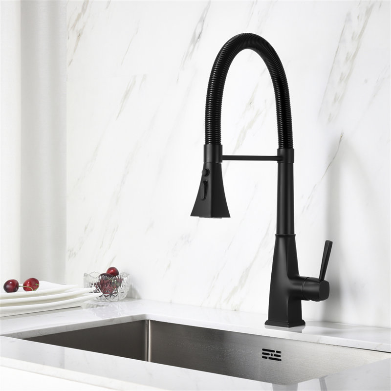 Robinet de cuisine avec douchette extractible
