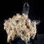 Terminated Smoky Quartz Cluster