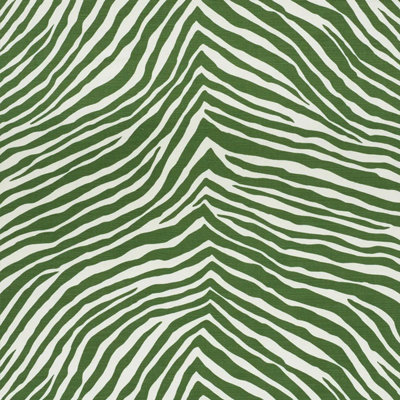 Iconic Zebra Fabric