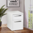 Buckie 15.8'' Wide 2 -Drawer Mobile File Cabinet