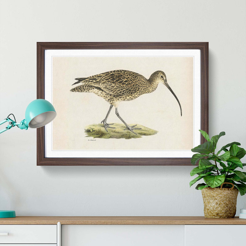 Eurasian Curlew by Von Wright - Picture Frame Painting Print on MDF, 27cm H x 36cm W x 2cm D, Walnut Framed