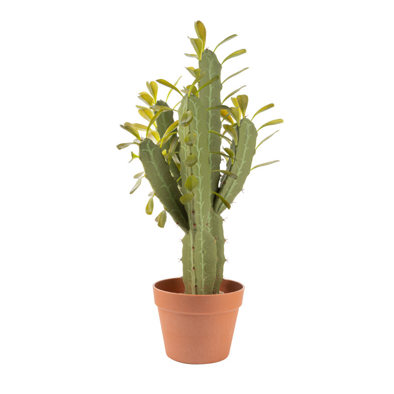 25'' Faux Cactus Plant in Pot