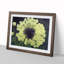 Captivating Dandelion Flowers - Framed Print-1821489037-1821489035