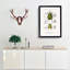 Beetle Illustrations PL.5 by Charles D'Orbigny - Single Picture Frame Print-55543935-55543937