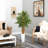 Bamboo Tree in White Tower Planter