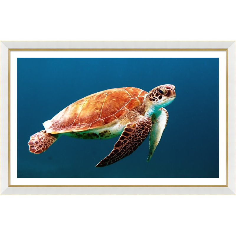 Sea Turtle Giclee Print