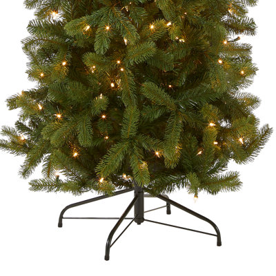 Downswept Douglas Fir Pencil Slim Tree with Clear Lights