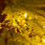 Arbre de Noël artificiel en forme de feuille de cyprès 6 pi avec 300 lumières DEL et 600 branches