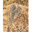 Classic One-of-a-Kind 8' 1" X 8' 1" Hand Knotted Area Rug