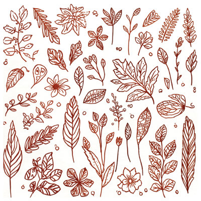 Tapis de bain Botanical Leaf