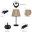 Syona Metal Desk Lamp