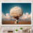 White Single Picture Framed
