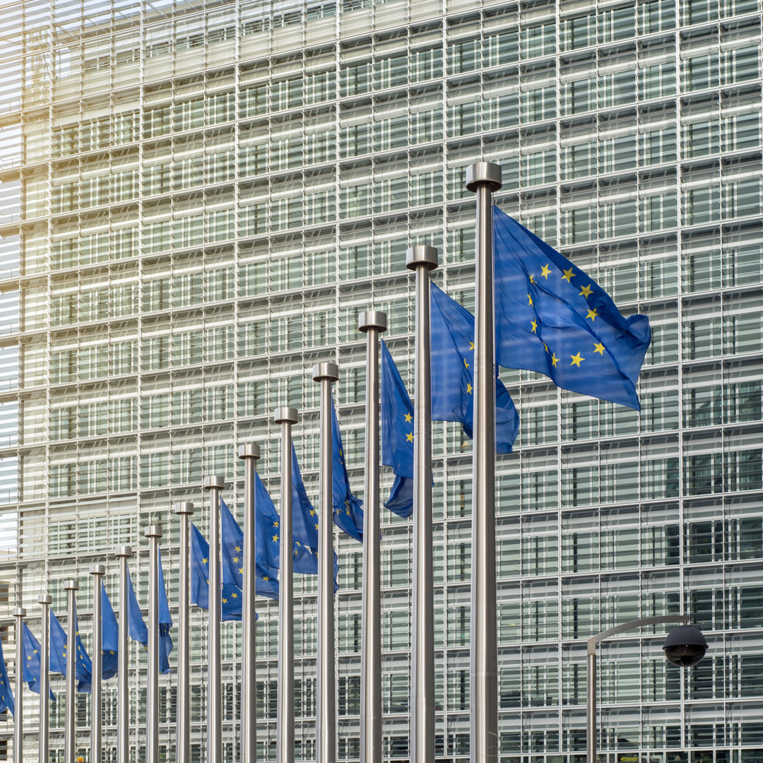 Leinwandbild European Union Flags