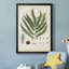 Collection Ferns III - reproduction d'art sur toile encadrée-34410538-34410539