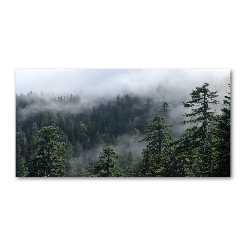 Forest Fog - Wrapped Canvas Print