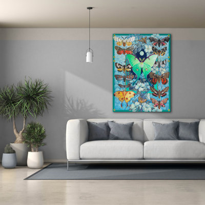  'Moth Mania' by David Galchutt Canvas Wall Art, 40" x 54"