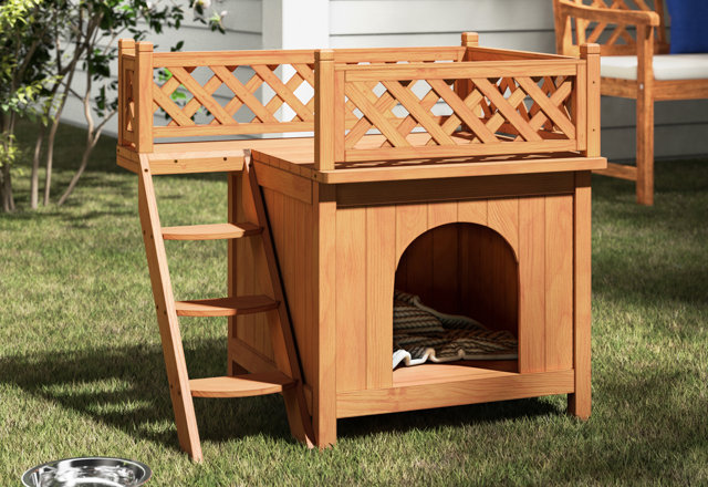 Budget-Friendly Dog Houses