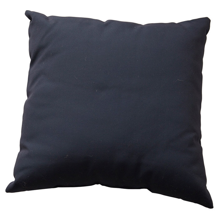 Outdoor Throw Pillow, 18" x 18", Light Blue