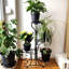 Anka Metal Weather Resistant Plant Stand-828061920