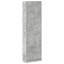 Wardrobe with Shelf with Storage with Door Engineered Wood Clothing