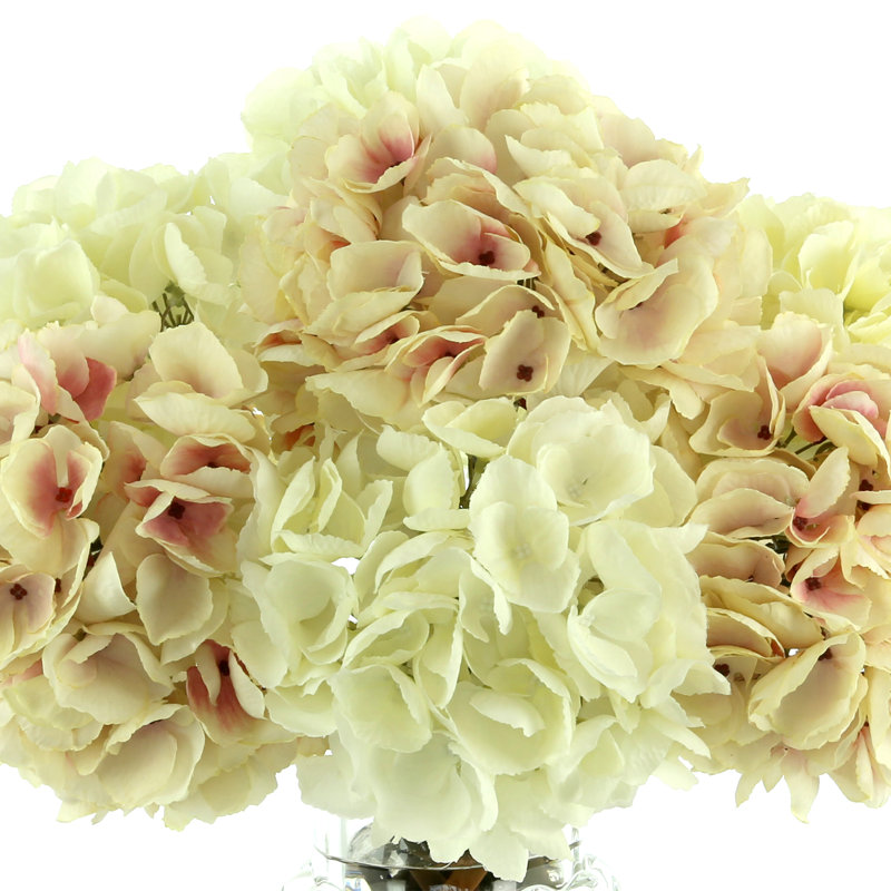 Cream And Mauve Hydrangea In Pedestal Vase