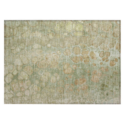 Machine Washable Indoor/Outdoor Xhevrie Aloe Rug