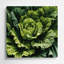 Art mural en métal vert légumes escarole-1023979793