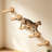 Set of 5 Wall Mount Cat Floating Platforms